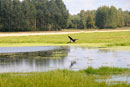 Agroturystyka