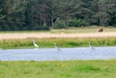 Agroturystyka