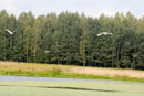 Agroturystyka